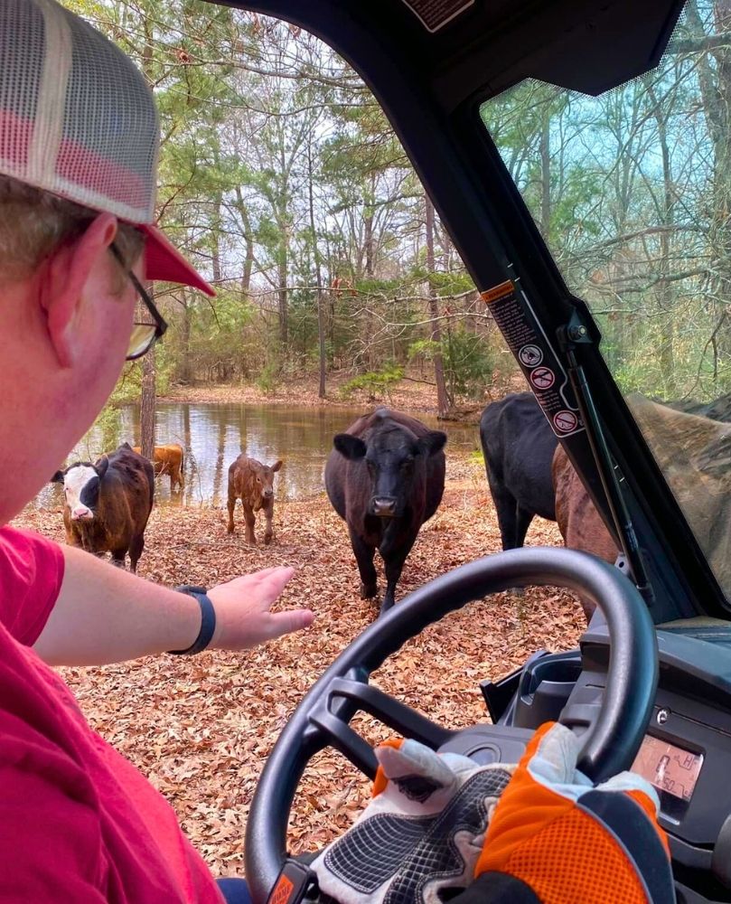 Farm owner Alan Kelch checking pasture-raised beef cattle in East Texas
