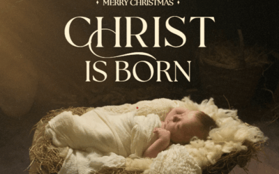 Merry Christmas from Five Blessings Farms