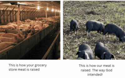The Difference Between Grocery Store Meat and Locally Raised Beef & Pork