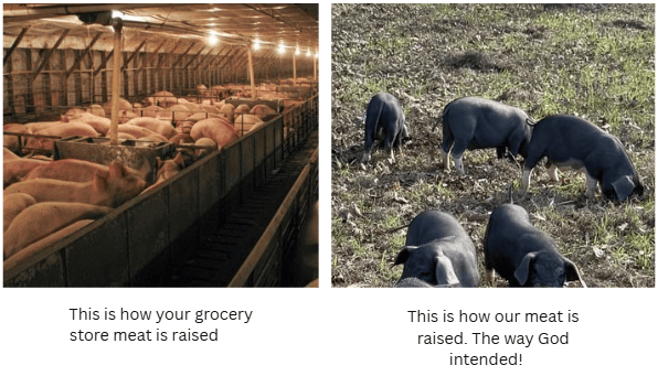 The Difference Between Grocery Store Meat and Locally Raised Beef & Pork