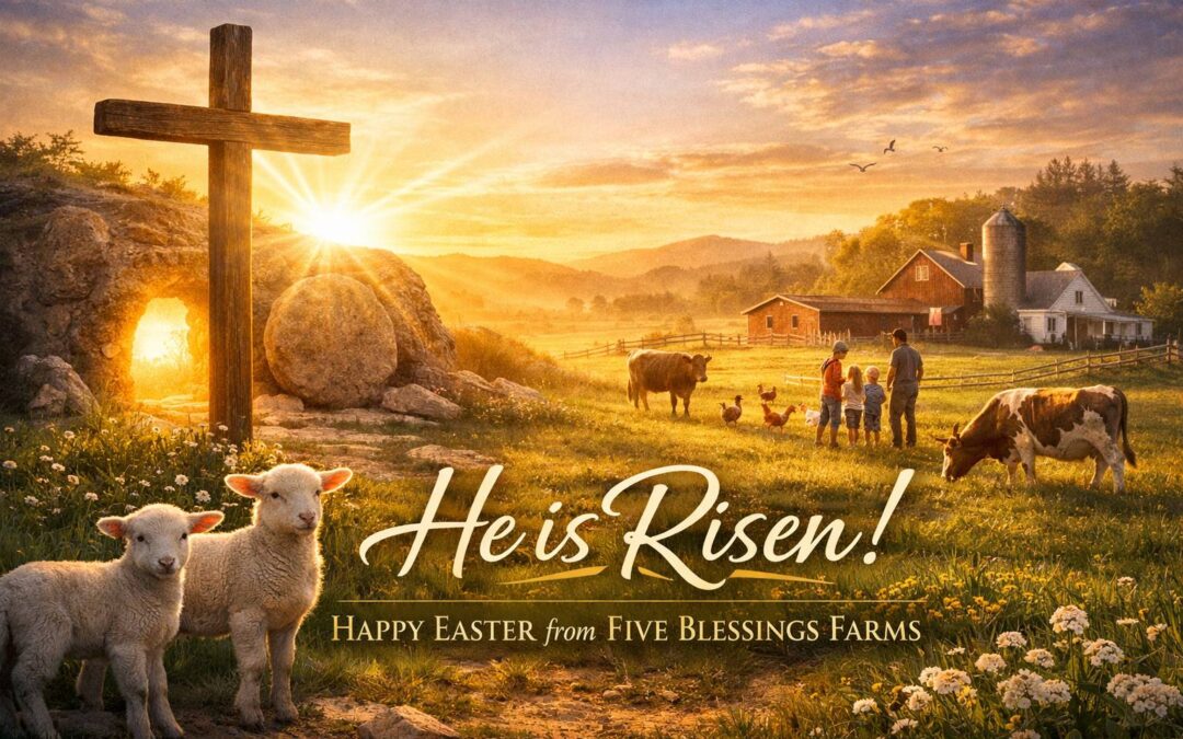 Easter on the Farm: Hope, Renewal, and New Life at Five Blessings Farms